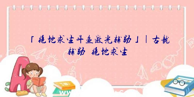 「绝地求生斗鱼激光辅助」|古龙辅助